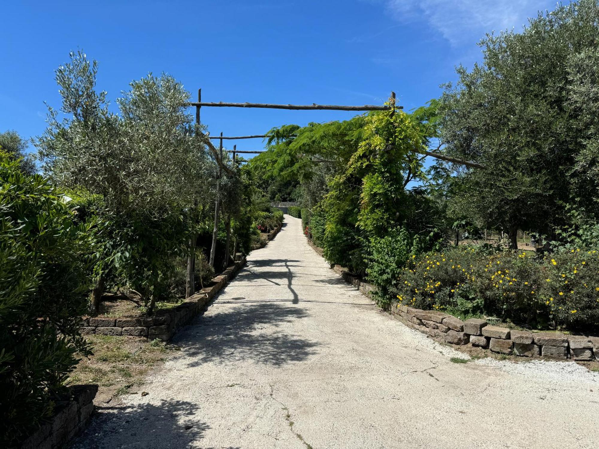 Agriturismo Piccolo Paradiso Piano di Sorrento Buitenkant foto