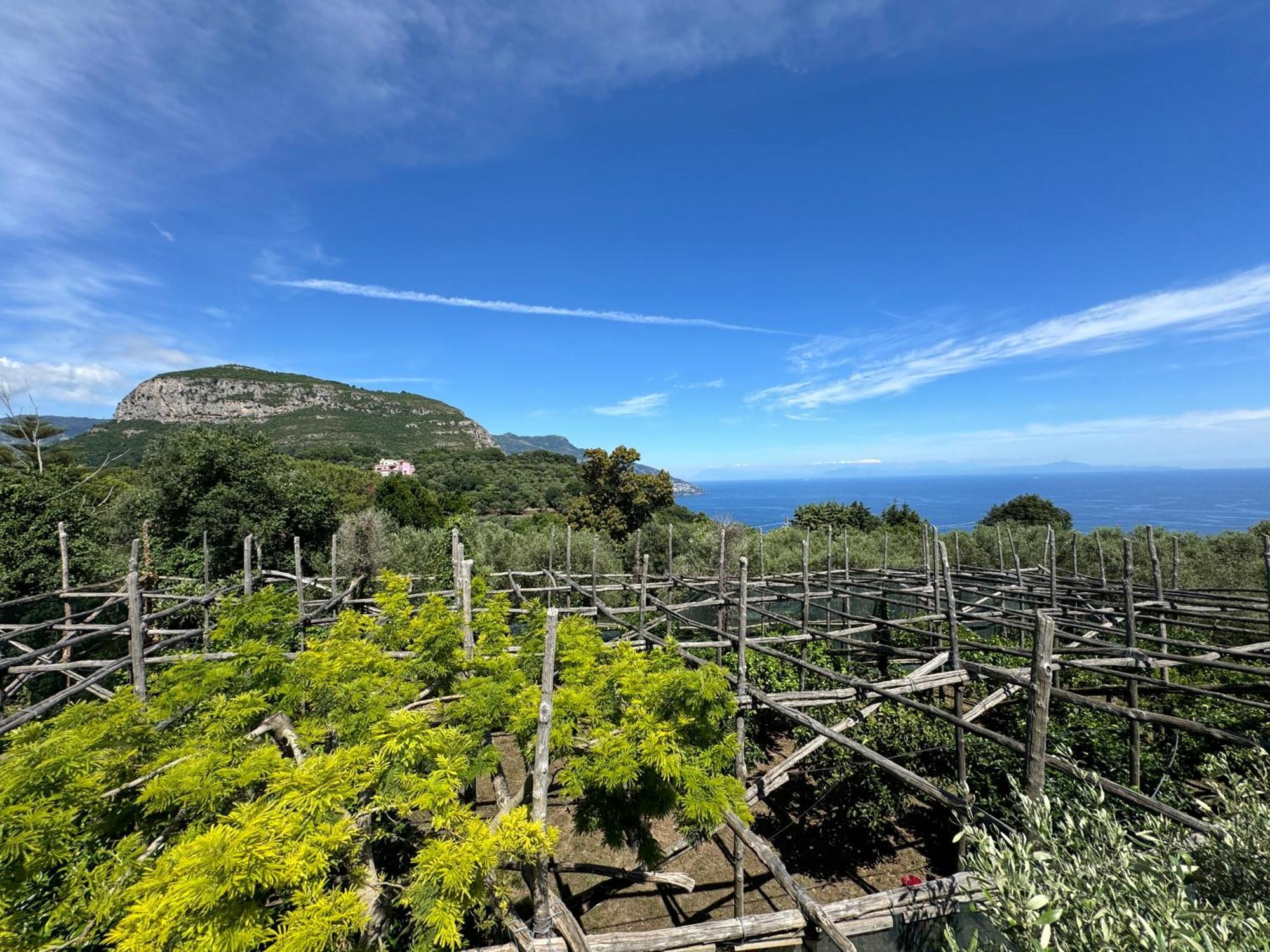 Agriturismo Piccolo Paradiso Piano di Sorrento Buitenkant foto