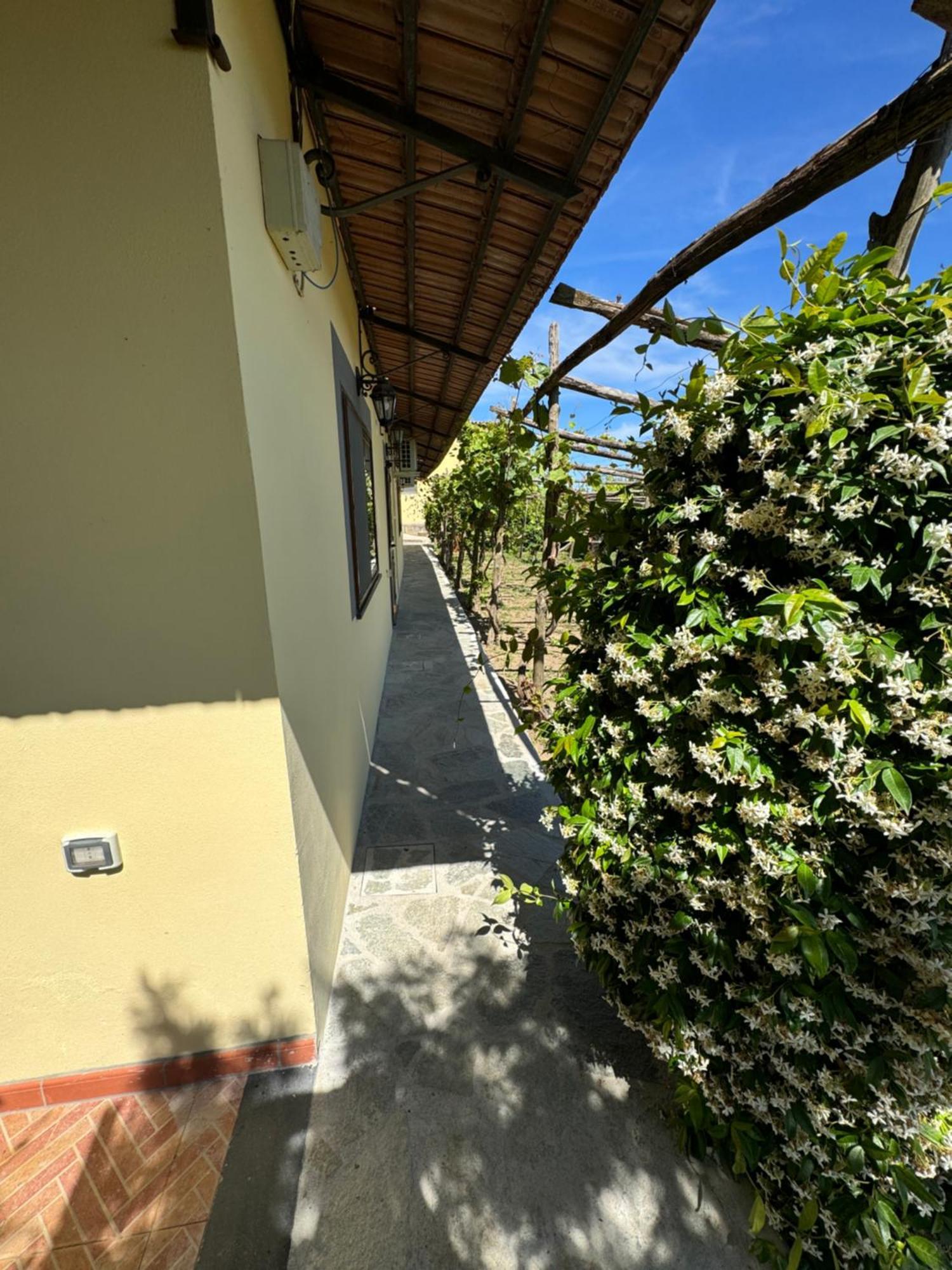 Agriturismo Piccolo Paradiso Piano di Sorrento Buitenkant foto