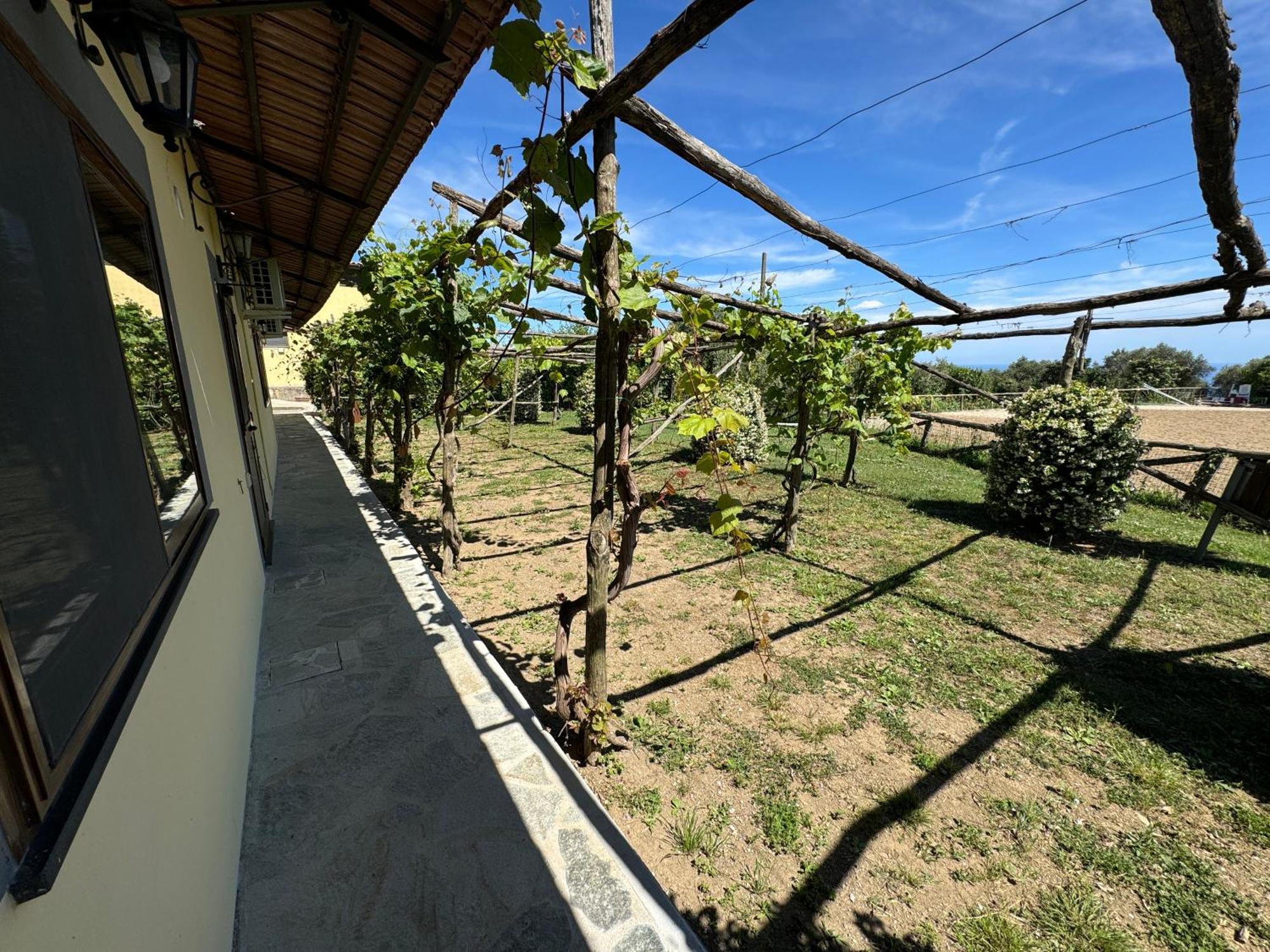 Agriturismo Piccolo Paradiso Piano di Sorrento Buitenkant foto