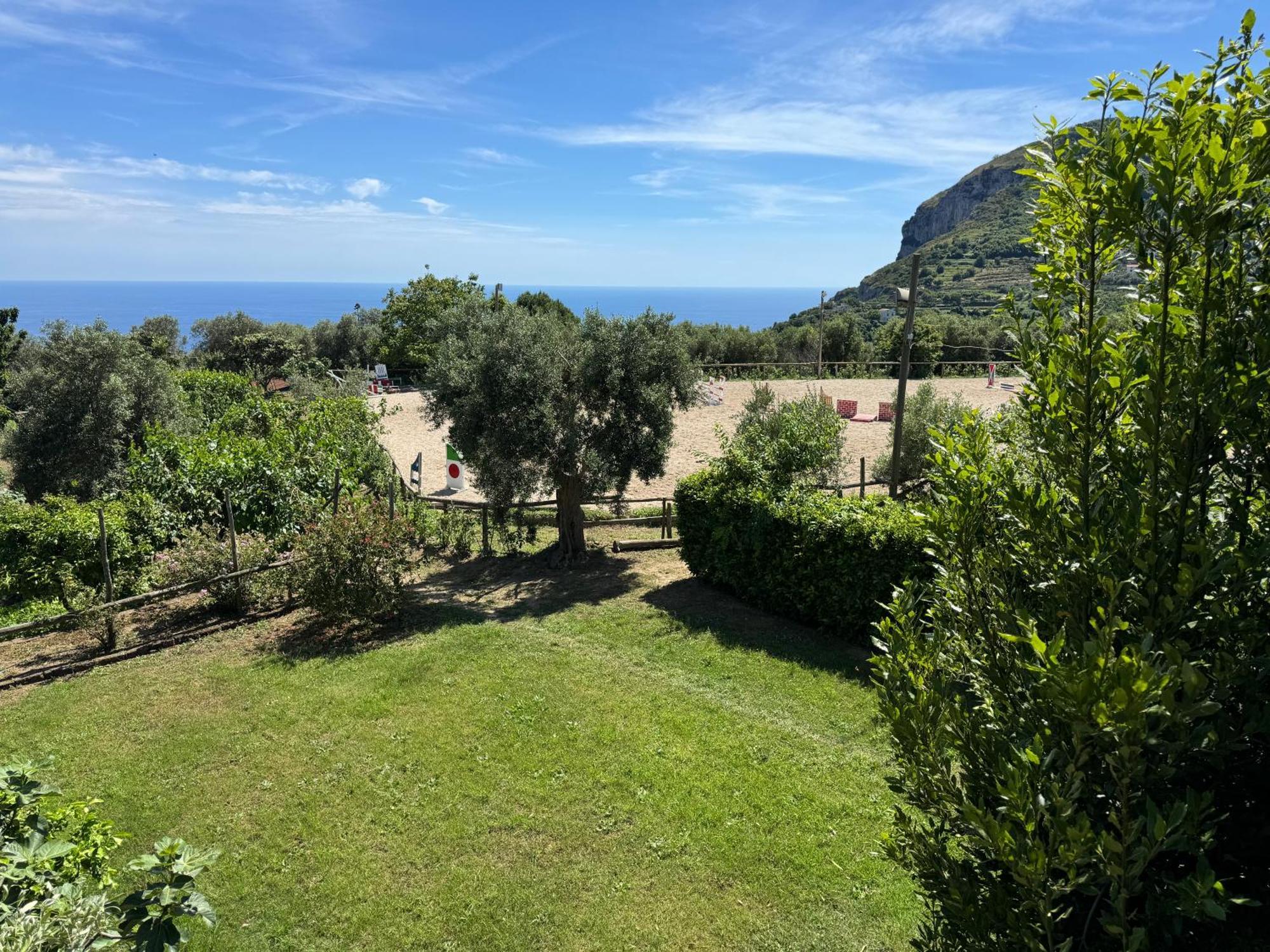 Agriturismo Piccolo Paradiso Piano di Sorrento Buitenkant foto