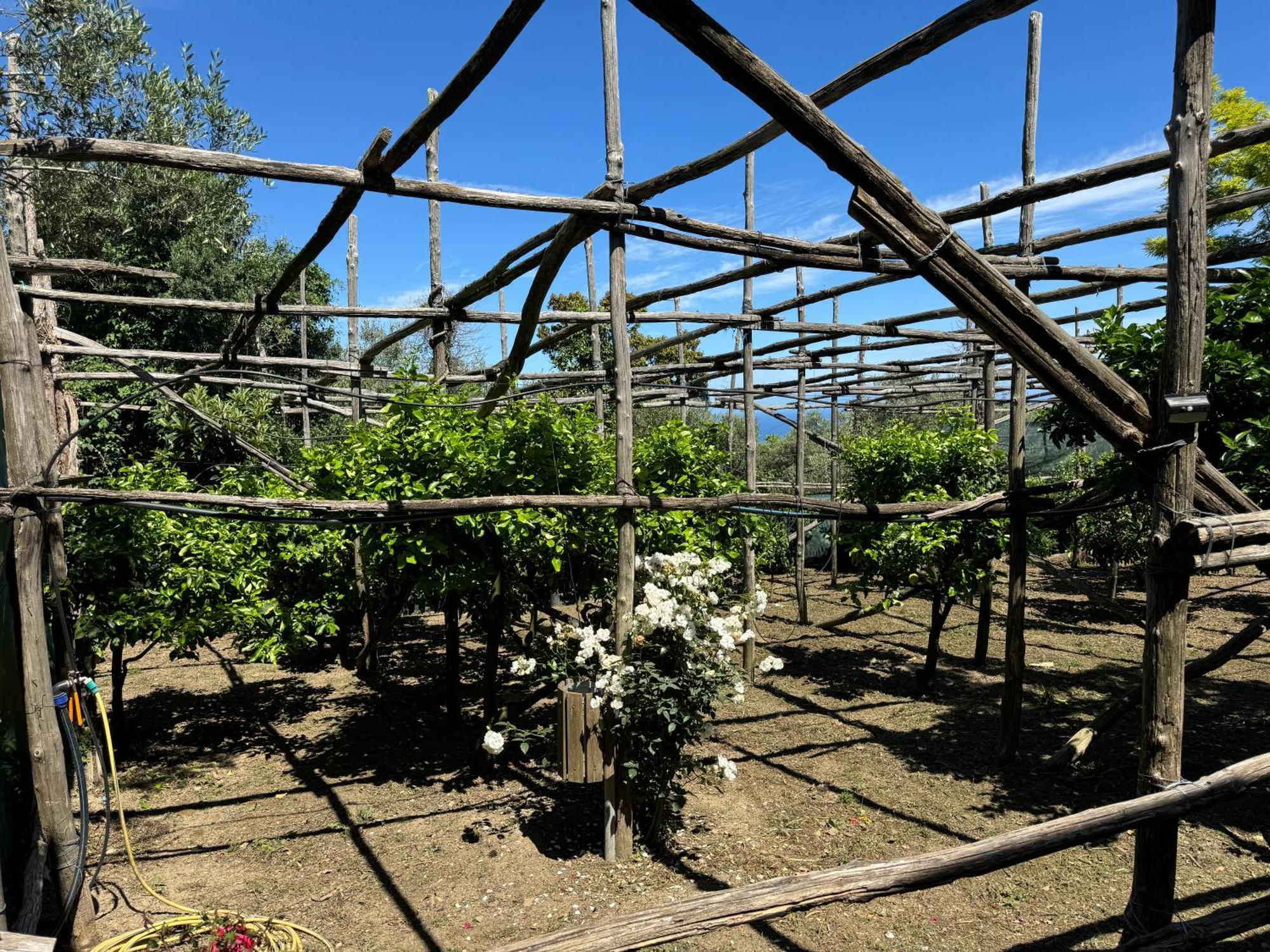 Agriturismo Piccolo Paradiso Piano di Sorrento Buitenkant foto