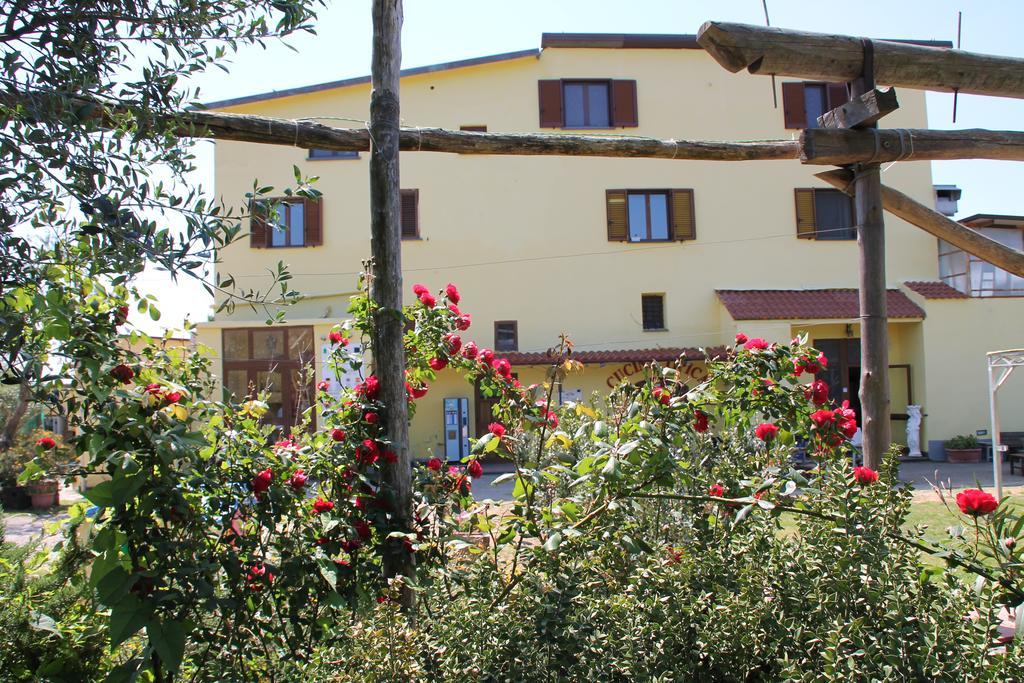 Agriturismo Piccolo Paradiso Piano di Sorrento Buitenkant foto