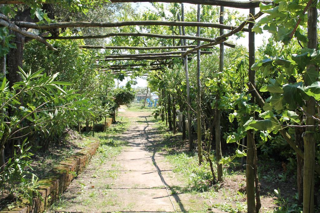 Agriturismo Piccolo Paradiso Piano di Sorrento Buitenkant foto
