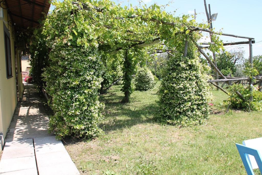 Agriturismo Piccolo Paradiso Piano di Sorrento Buitenkant foto
