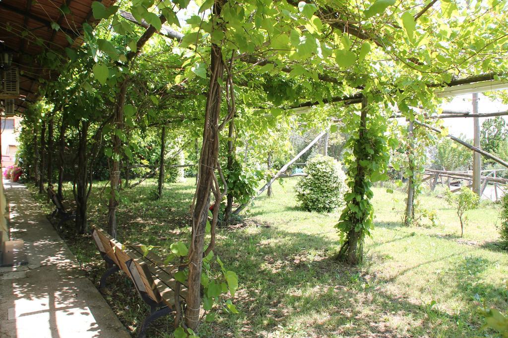 Agriturismo Piccolo Paradiso Piano di Sorrento Buitenkant foto
