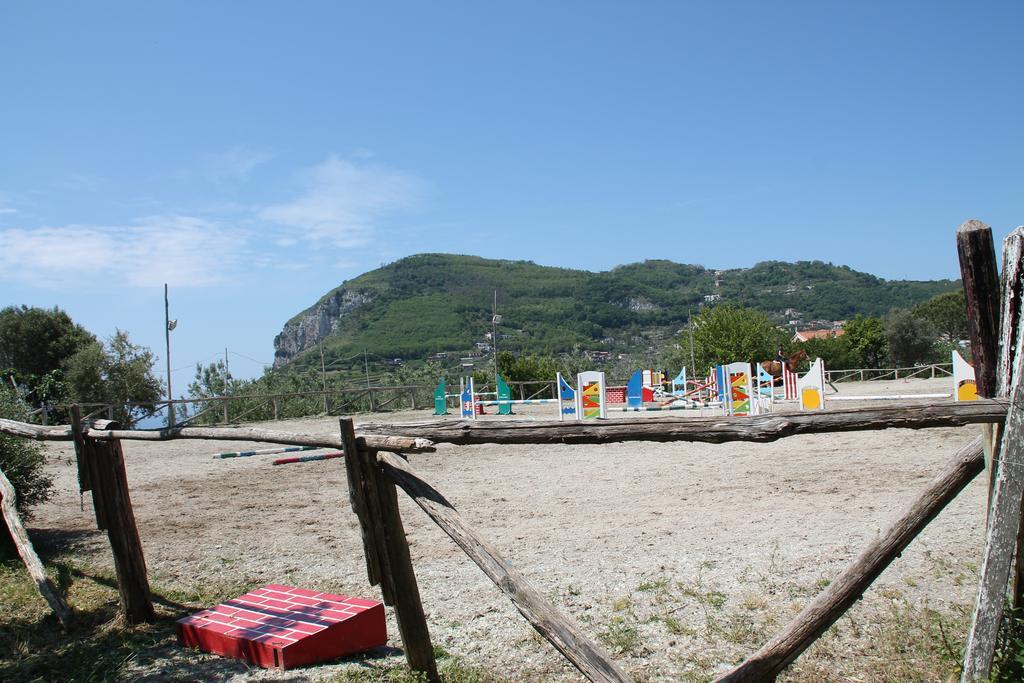 Agriturismo Piccolo Paradiso Piano di Sorrento Buitenkant foto