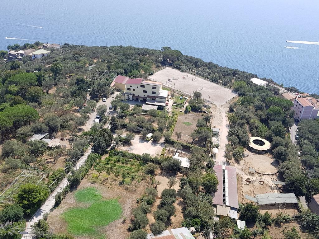 Agriturismo Piccolo Paradiso Piano di Sorrento Buitenkant foto