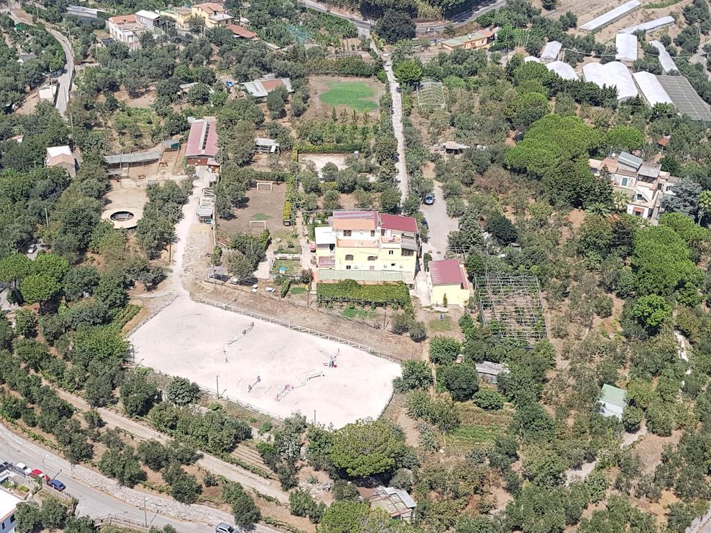 Agriturismo Piccolo Paradiso Piano di Sorrento Buitenkant foto
