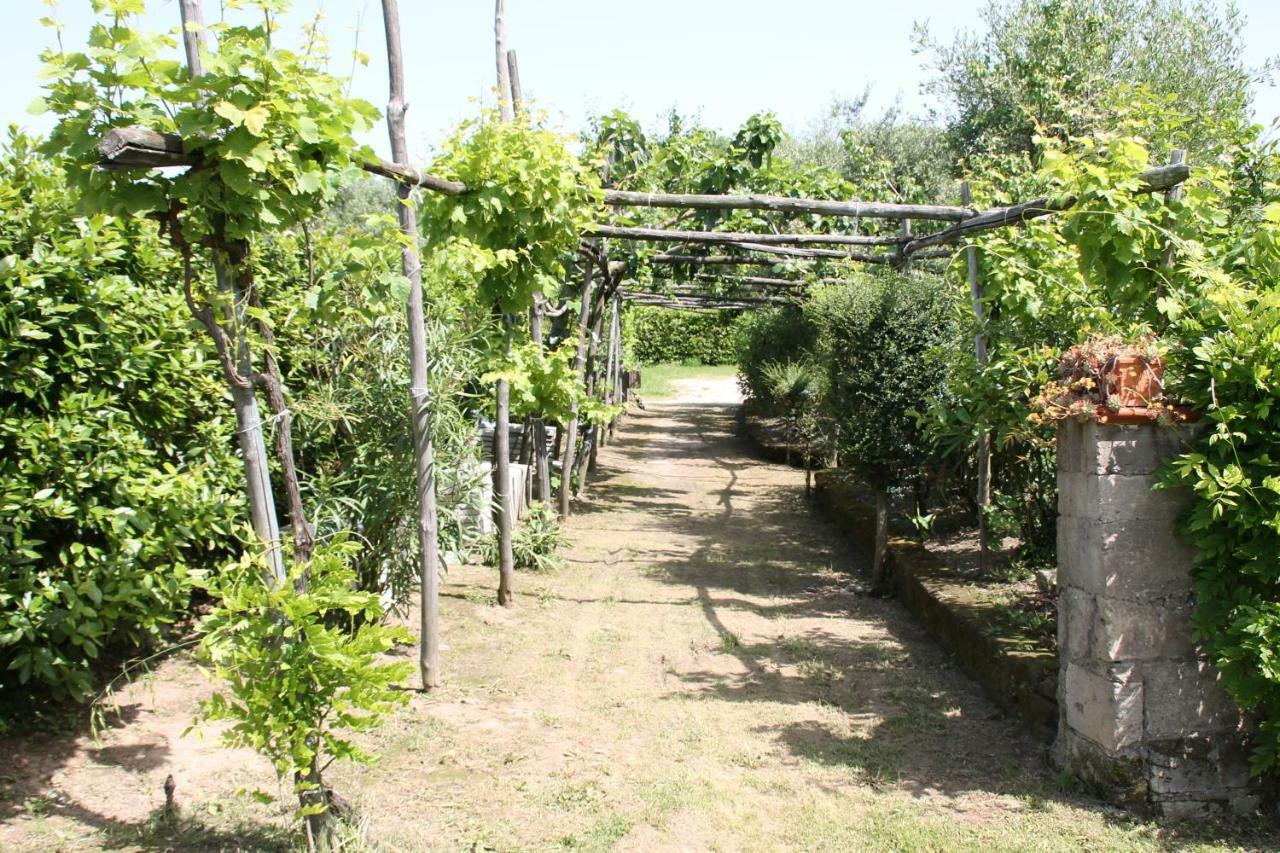 Agriturismo Piccolo Paradiso Piano di Sorrento Buitenkant foto