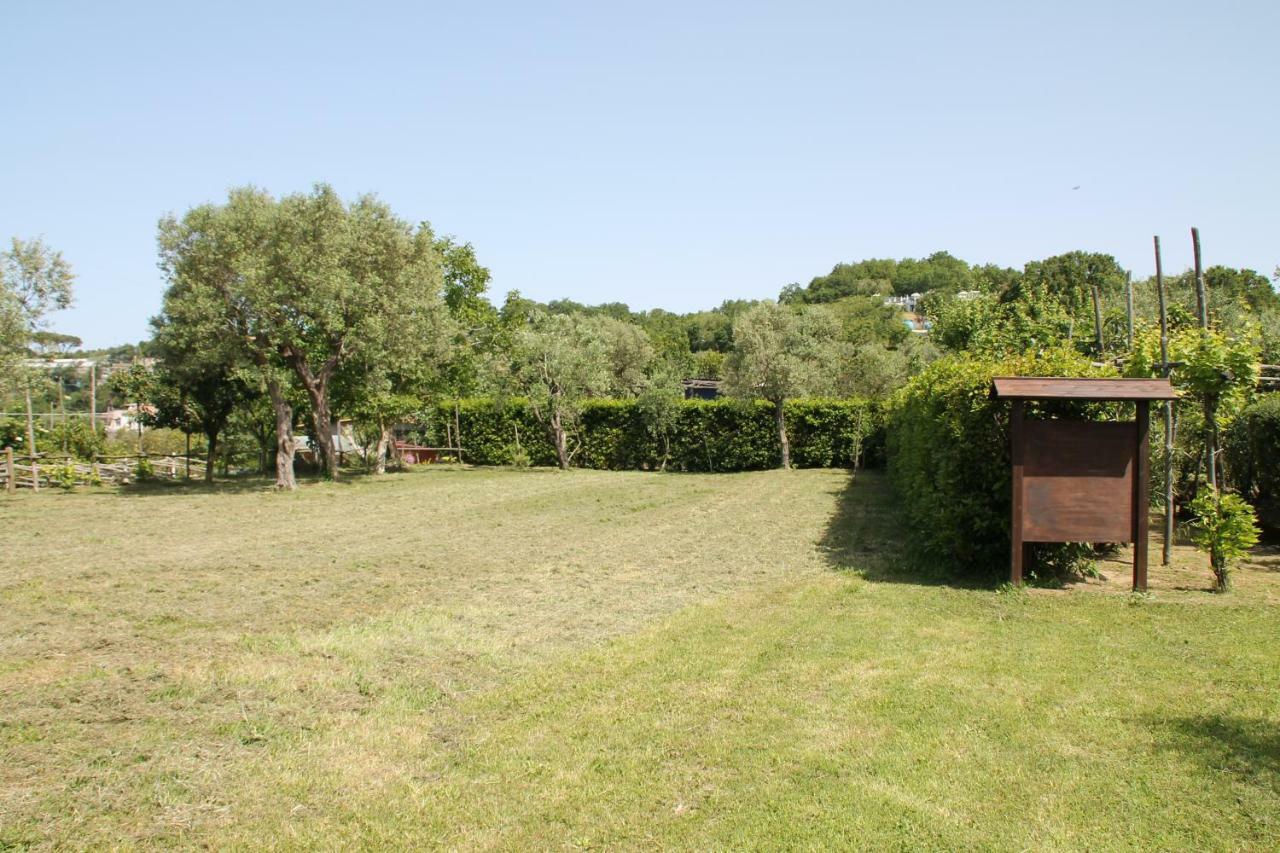 Agriturismo Piccolo Paradiso Piano di Sorrento Buitenkant foto